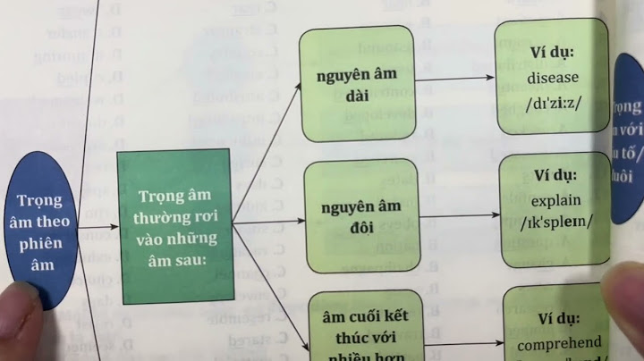 Bài tập chia thì quá khứ đơn lớp 7 năm 2024