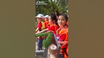 Các con lớp 2C trường Tiểu học Lương Khánh Thiện đi Trải nghiệm học tập