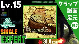 【DDR WORLD】Lv.15 Horatio(ESP)【譜面+足元+クラップ】