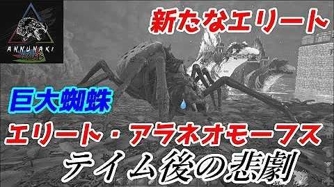 تحميل アラネオモーフス Mp4 Mp3 تحميل アラネオモーフス Mp4 Mp3