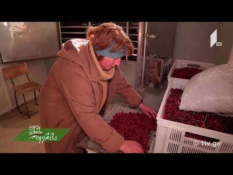 #გაიგემეტი კოოპერატივი დუშეთში - ტყის არამერქნული პროდუქტები, რომლითაც ევროპელები დაინტერესდნენ