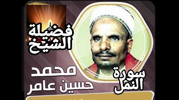 سورة النمل فضيلة الشيخ محمد حسين عامر