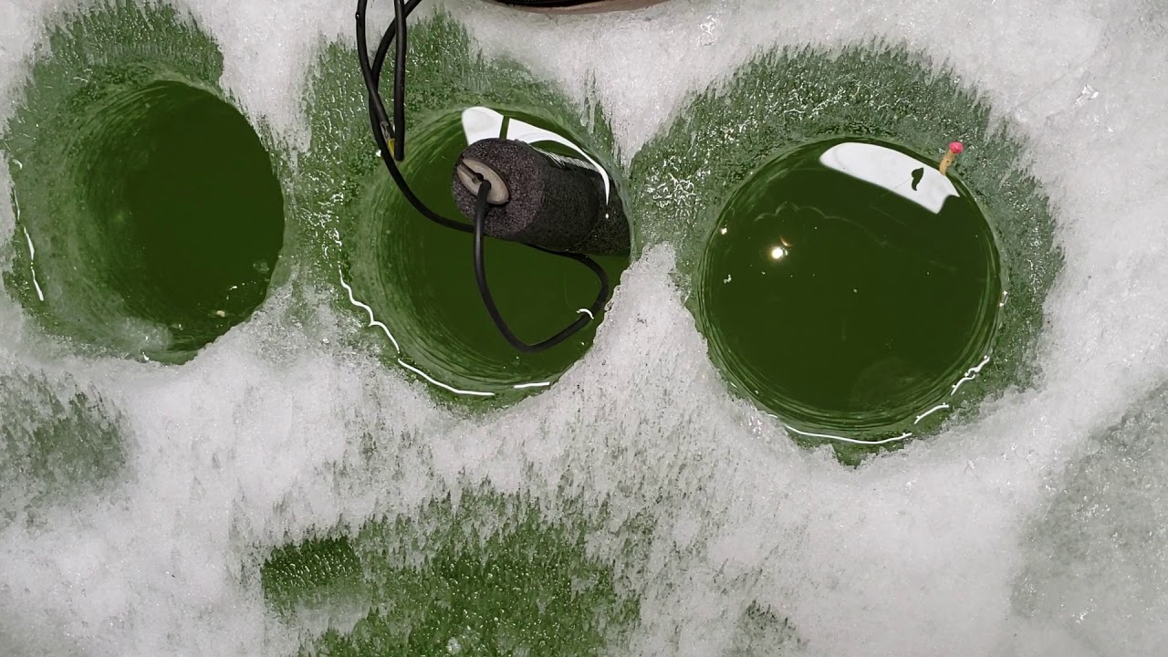 Ice fishing Catfish through the ice YouTube