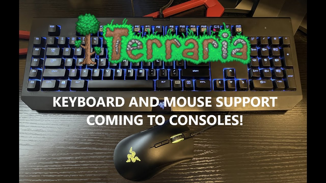 Keyboard and mouse support? Should keyboard and mouse support