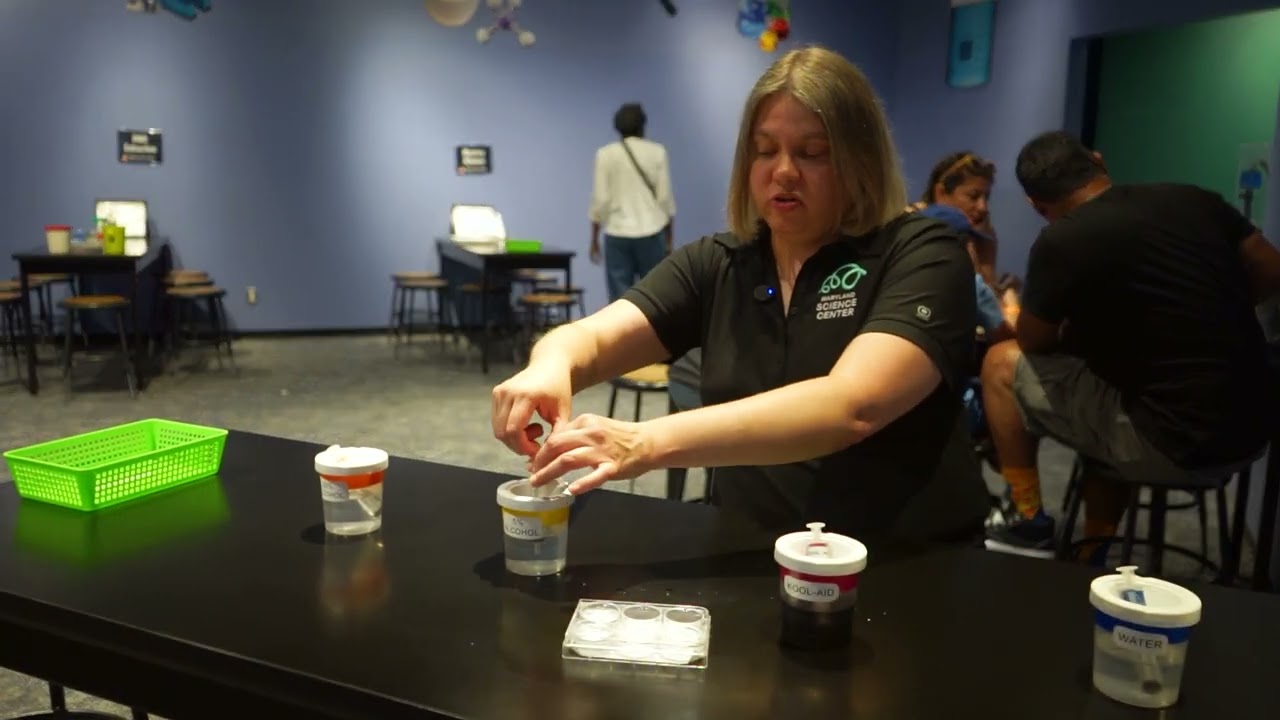 Kool-Aid Chromatography