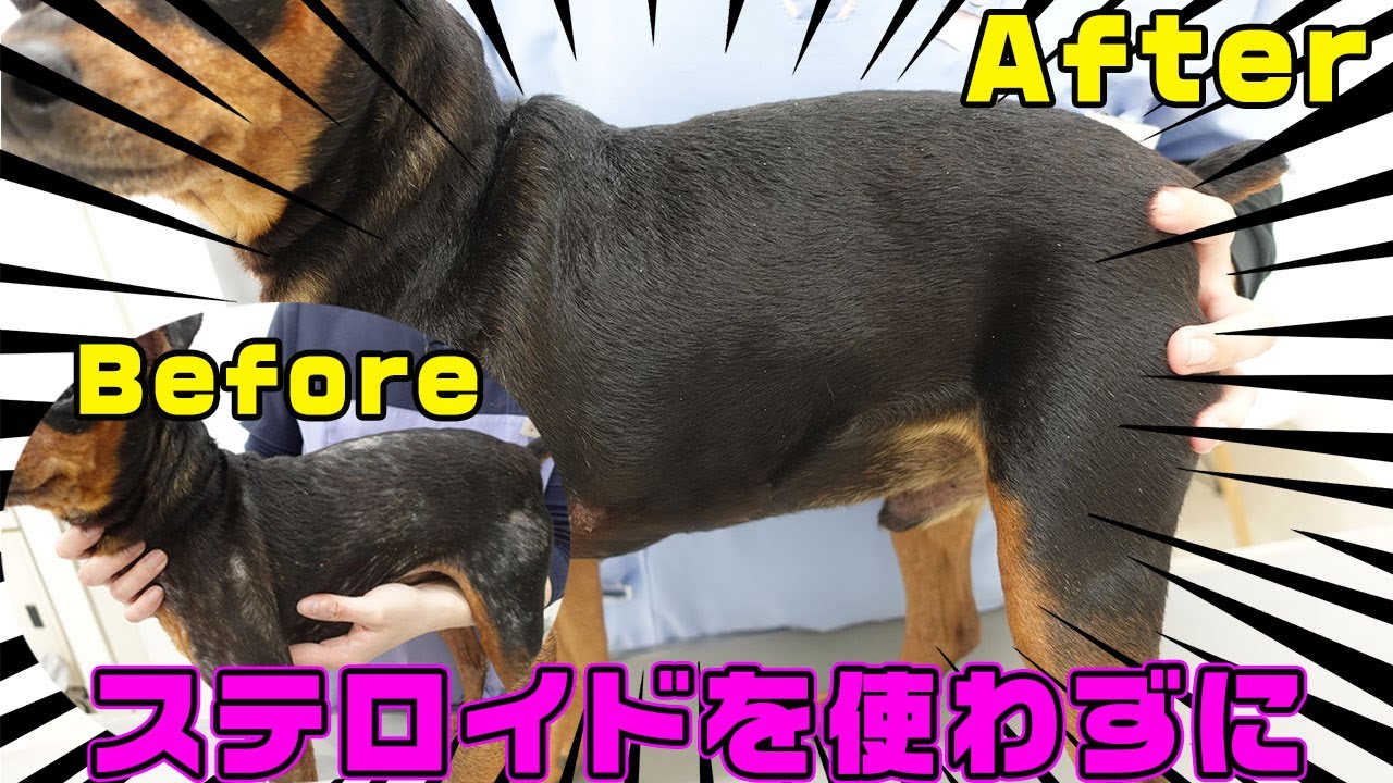 ステロイドを使わない慢性皮膚疾患の治療