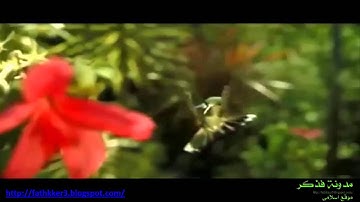 تلاوة خاشعة للقارىء ماجد العنزى وكُلَّ إِنسَانٍ أَلْزَمْنَاهُ طَآئِرَهُ فِي عُنُقِهِ