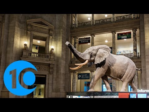 Video: Top 10 kunstmuseer i USA