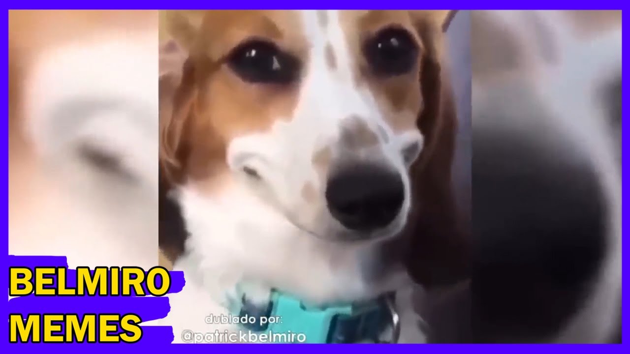 Belmiro Memes: Melhores dublagens do ano parte 2