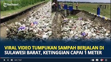 Viral Video Tumpukan Sampah Berjalan di Sulawesi Barat, Ketinggian Capai 1 Meter