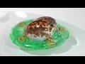 "Healed in 1 minute" Rain Frogs Just Chilling on a Float