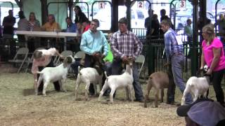 Noble County Community Fair 2015: 4-H events