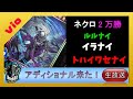 【ネクロ20000勝 】新環境ｷﾀｱｱｱｱｱｱ！！！！【shadowverse シャドバ】