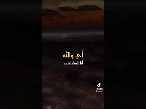 ناوي على الشر 