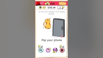 Brain Test: Tricky Puzzles Level 89