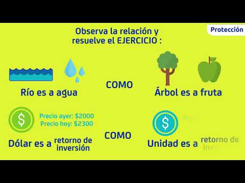 ¿Cómo funciona el