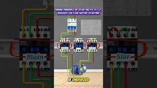 STAR DELTA MOTOR OPERATION SYSTEM #electrical #wiring @MrBeast @ElectroBOOM