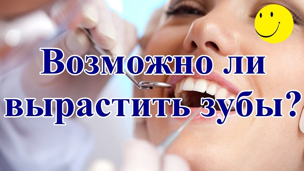 Возможно ли вырастить зубы? - YouTube