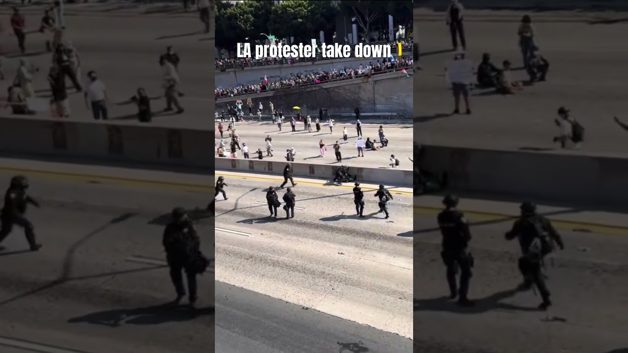 Los Angeles protester scooter wrecks into Police