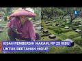 Kisah Pembersih Makam TPU Karet Bivak, Diupah Rp 25.000 Satu Makam