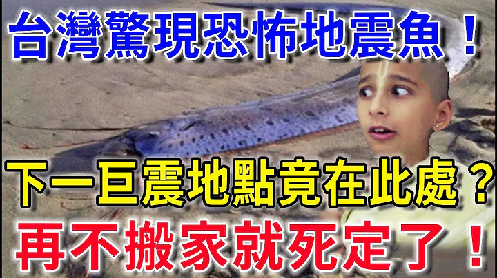 台灣驚現恐怖地震魚！神明預警：下一巨震地點在此處！再不搬家就死定了！|花好月圓 #風水 #運勢 #財運 #生肖  #一禪語 #禪與佛心 #般若明燈 - 天天要聞