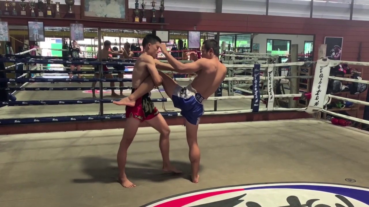 Muay Thai Sweep Catch the Knee and sweep. YouTube