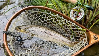 The Beaverkill a Flyfishing & Camping Adventure