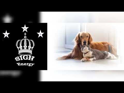 Pet Pathogen Remover & Protection EXTREMELY POWERFUL!!! (Energetically Programmed)