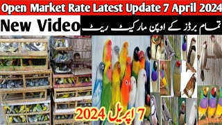 Open Market Rate Today | Lalukhet sunday Birds Market Birds Latest Price Update | 7 April 2024