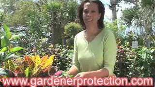 Gardeners Armor  As Seen On Tv Network