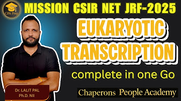 EUKARYOTIC TRANSCRIPTION - offline class on YouTube #csirnet2025 #lifesciences #drlalitpal