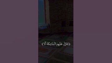 سورة فصلت للشيخ:ناصر القطامي