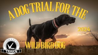 Old West Shoot Out- A Dog Trial For Wild Bird Hunters