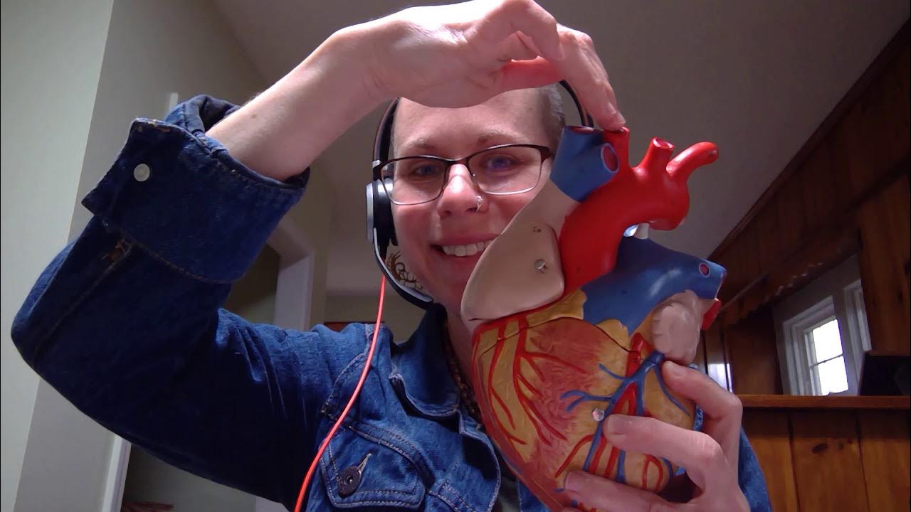 Biology 2020 Lab 4 Quiz Question YouTube