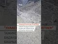 "Унаасы сууга түшүп кеткен"
