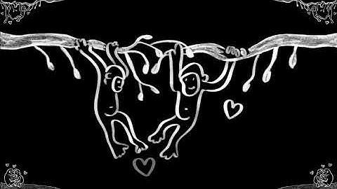 Aba Daba Honeymoon Acoustic version - Acoustic performance video thumbnail