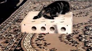 Самодельная игрушка для кошки Самодельная игрушка для кошки