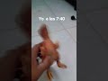 #xd