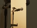 Writing A Song for mom
