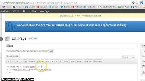 How To Embed & Position A Video On WordPress