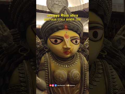 Recap Durga Puja 2024 😊🌼 | Bosepukur Sitala Mandir 2024 | বোসপুকুর শীতলা মন্দির