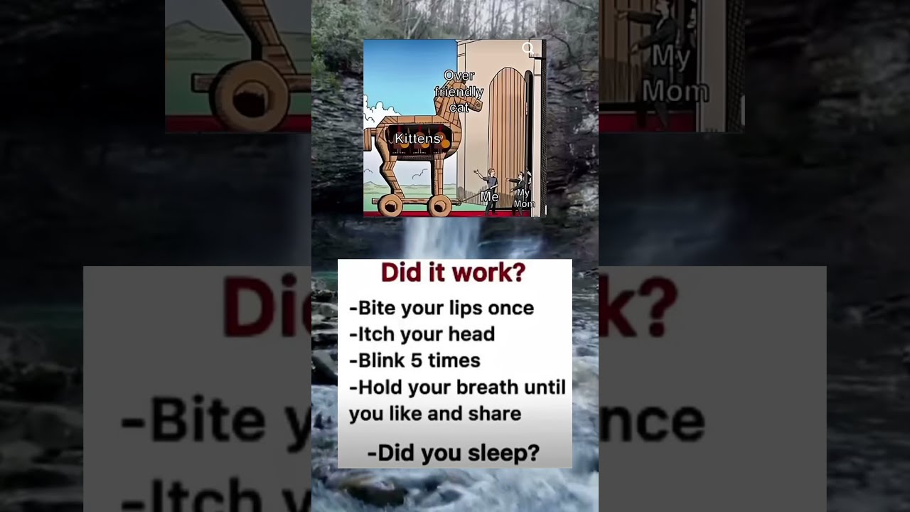 6a Memesdaily Memes Zyxabc Funnyimages