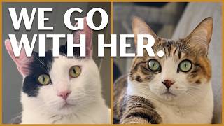 The High Ground Ep. 7 | The Work Trip Strategy