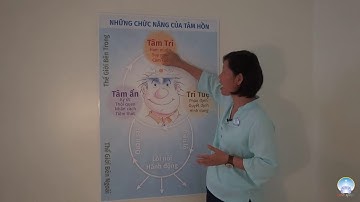 Hiểu Về Bản Thân | Inner Space