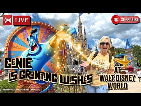 Wish Wheel at Disney World  6/26/26 #live