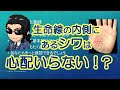 生命線の内側のしわと意味の見方