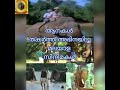 മലയാള സിനിമയിലെ ഗജവീരന്മാർ Malayalam movie Elephants