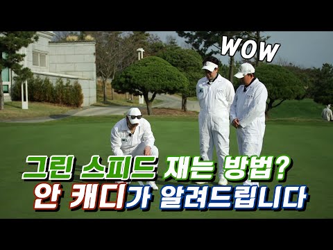 안정환이 알려주는 그린스피드 측정 <strong>방법</strong> [내 이름은 캐디] <strong>11회</strong>
