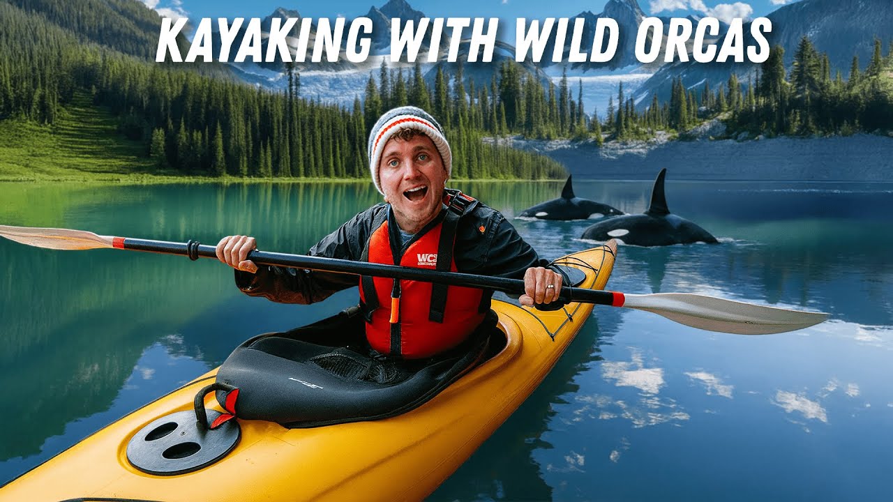 4 Days Kayaking with Wild Orcas (epic adventure in Canada)