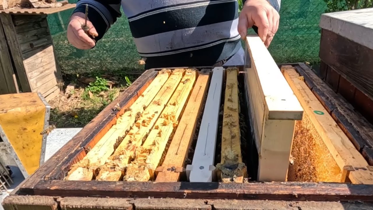 439. Nasadzovanie medníkov č. 2 - čiastočné sprístupnenie medníkov - dva spôsoby